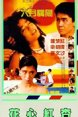 姐姐们的反转诱惑