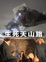 老司机精品视频一区二区