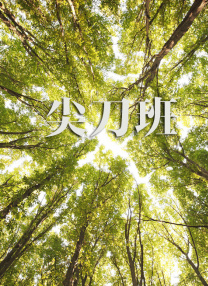 精品一区二区在线欧美日韩